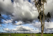 开云棋牌APP-西亚卡姆，总决赛之夜，一个名字成为唯一的答案