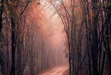 开云棋牌下载-龙吟亚洲之巅！国足决赛封神夜，姆巴佩竟成最强背景板